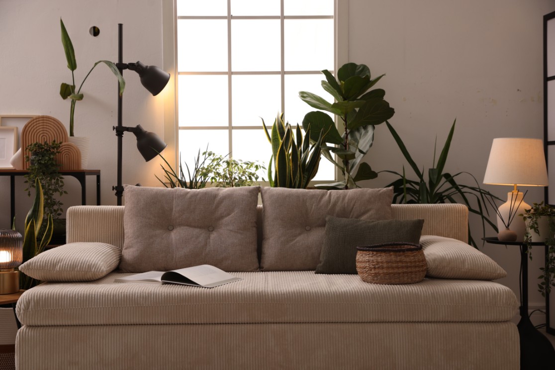 Affordable Interior Designer in Noida for Flats
